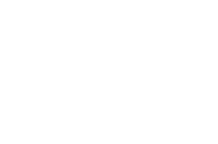 Schrödingerův institut